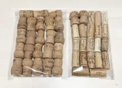 Item thumbnail for item e25025e0-c1e1-49d1-9588-02e8bda9f835