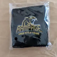 94.THE RAMPAGE リストバンド GOLDのサムネイル