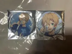 ソードアート・オンライン SAO あみあみ ペイント 缶バッジ ユージオ