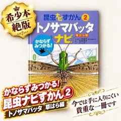 絶版★希少本！昆虫ナビずかん2 トノサマバッタ 旺文社 絵本 図鑑 昆虫採集