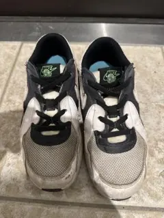 Nike スニーカー ホワイト　20cm