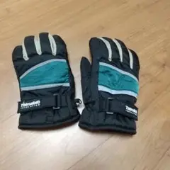Thinsulate スキーグローブ 25CM ブラック/ターコイズ