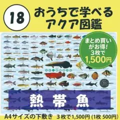 Item thumbnail for item 22b6c06a-587e-4950-a74f-2ef56098a583