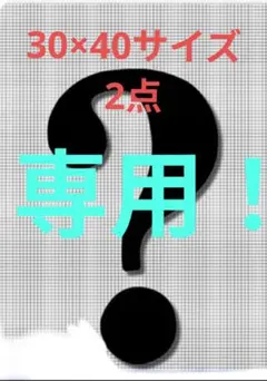ミーさま専用です。