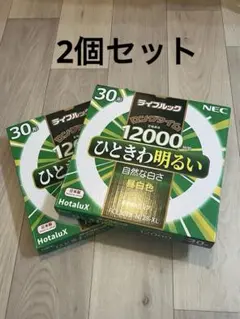 NEC ライフルック 30形 ロングタイム 昼白色 ひときわ明るい 2個セット