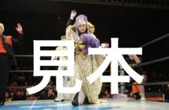 女子プロレス　立野記代写真