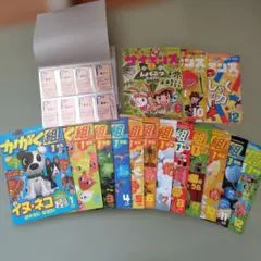 かがく組　1年生　全12冊+おまけ