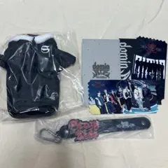 Stray Kids dominATE アプグレ 特典