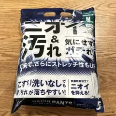 ミズノ　野球　ガチパンツ　M 足掛けストレート