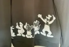 Hello! Project 25周年 ディズニー パーカー Ｍサイズ