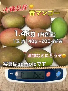 マンゴー(摘果マンゴー)青マンゴー グリーンマンゴー 1.4kgのサムネイル