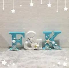 SK簡易包装中古品に御理解のある方のみ 様専用♡イニシャルオブジェ