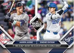 カルサイト様 リクエスト 2点 まとめ商品