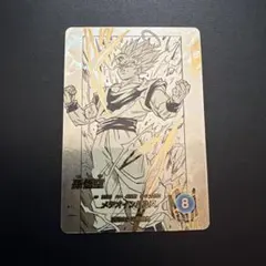 ドラゴンボール　ダイバーズ　孫悟空　パラレル　アドバンスパック　apt-002