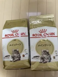 ロイヤルカナン メインクーン 成猫用 2kg 2袋セットのサムネイル