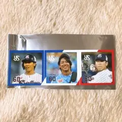 ヤクルトスワローズ swallows シークレットフォトチップス 武岡龍世