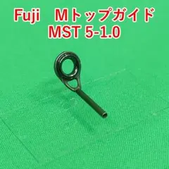 Item thumbnail for item fa10f364-23d8-4adf-9bd3-af5933057eb1