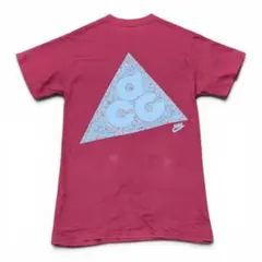 【Old NIKE】 ACG Tシャツ ヴィンテージ USA製 M 紫 銀タグのサムネイル