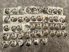 Item thumbnail for item 443b1a36-3dd4-40fd-8c0b-4fc0bb4631dd