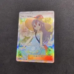 かんこうきゃくSR 新品おもちゃ・ホビー・グッズ - かんこうきゃく SR