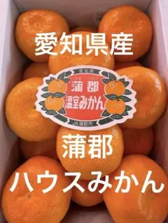 HKKA さん専用‼️2箱‼️5980→5000円‼️超あまあま万田酵素甘平約5kg 月末大サービスきたーー‼️5980→5000円‼️超あまあま万田酵素甘平約