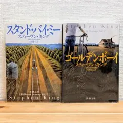 スティーヴン・キング 67冊セット+1 2025年最新】スティーヴン・キングの人気アイテム - メルカリ