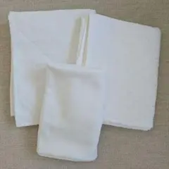 Item thumbnail for item 55c163f3-7bbd-42cf-81e4-2ac2eb70de75