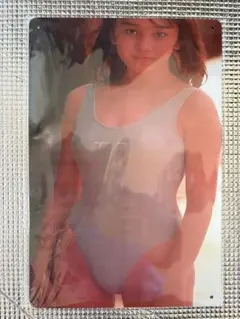 新品未開封　西田ひかる　オマージュブリキ看板③