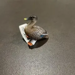 カルガモ　ミニチュアプラネット　miniature planetのサムネイル
