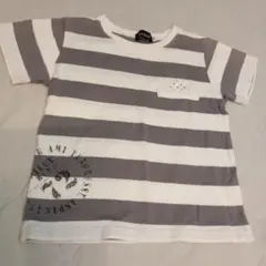 Item thumbnail for item 9c95b01a-c217-4665-b003-0045e2d2947a