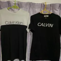 Item thumbnail for item 1d94e303-2181-48a3-9fc6-1e58096bc82a