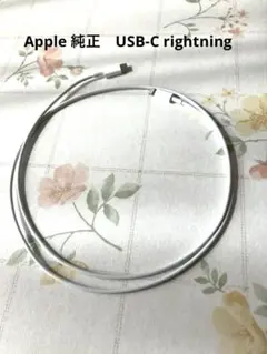 アップル　USB-C to Lightningケーブル 約1メートル ホワイト