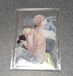 2025年最新】美しい彼 アクスタの人気アイテム - メルカリ