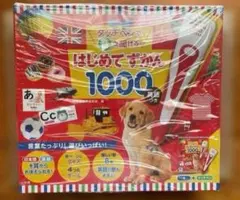 タッチペンで音が聞ける! はじめてずかん1000 英語つき