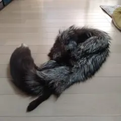 リアルファーフォックス　キツネの襟巻き