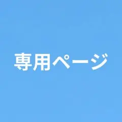 専用ページ