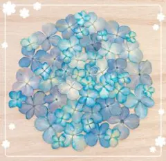 888様 リクエスト 3点 まとめ商品