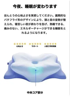 Derila Ergo(デリラ エルゴ) 抗菌枕 新品未開封