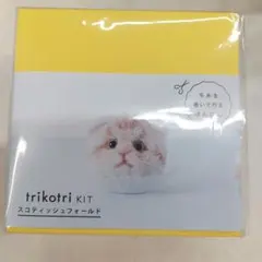 Item thumbnail for item 56602176-cb4b-47ba-b5f3-49a81930a69e