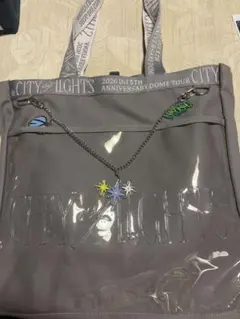 INI ドームツアー トートバッグ