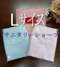 シャルレポケット付きサニタリーショーツLサイズ2枚セット激安廃盤に向かってますのサムネイル