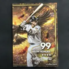 新品 非売品 野村 ソフトバンクホークス タカコレ みずほ限定カード