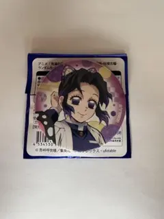 鬼滅の刃 胡蝶しのぶ 全集中展 -刀鍛冶の里編・柱稽古編- ランダム缶バッジ