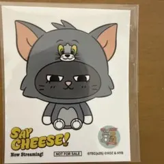 boynextdoor テサン タレントカード