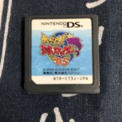 ニンテンドーDS ソフト　めざせ！釣りマスターDS