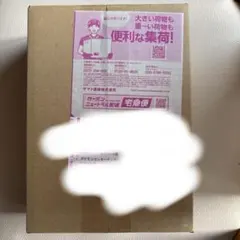 ポケモンカードゲーム MEGA 拡張パック ニンジャスピナー BOX