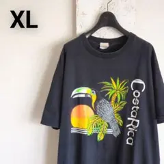 コスタリカ製 スーベニアTシャツ オオハシ 鳥 パームツリー 黒 XL相当のサムネイル