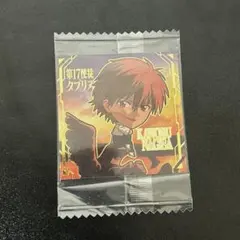 新世紀エヴァンゲリオン【渚カヲル】ウエハース　シークレットEVA2-32