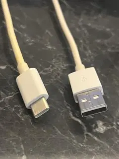 USB Type-C to USB Type-A ケーブル