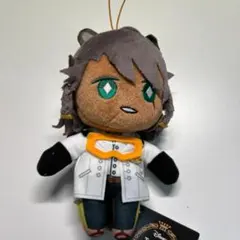 【メルカリ便】ツイステ エクストラ ぬいぐるみ レオナ 実験着